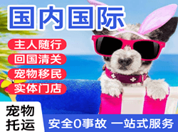 济南航空货运国际宠物托运 【国